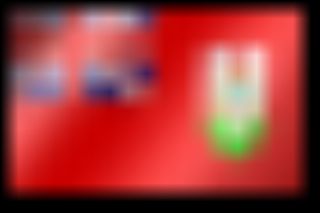 [IMG]