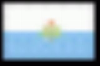 [IMG]